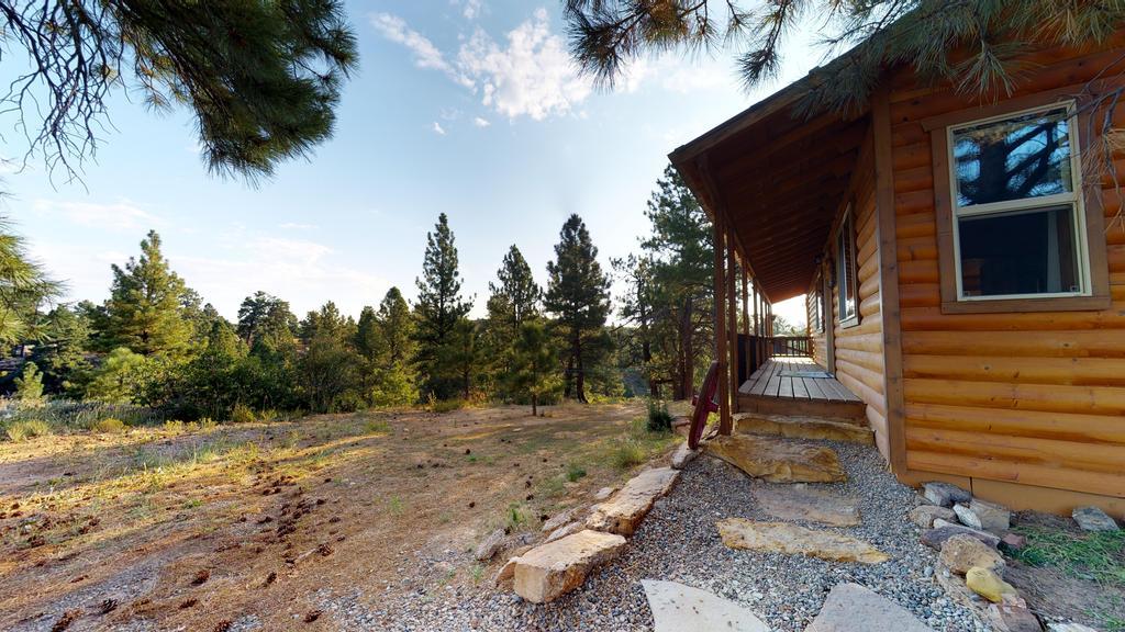 Long View Cabin, Breakfast Deck Overlooking The Canyon! Monticello Bagian luar foto