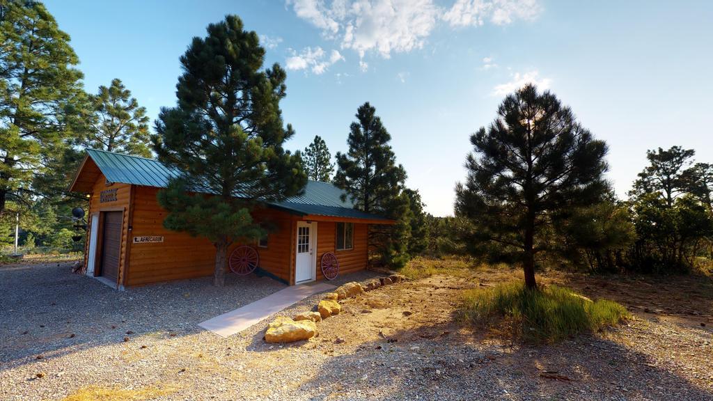 Long View Cabin, Breakfast Deck Overlooking The Canyon! Monticello Bagian luar foto