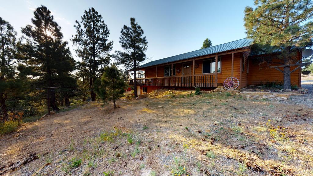 Long View Cabin, Breakfast Deck Overlooking The Canyon! Monticello Bagian luar foto